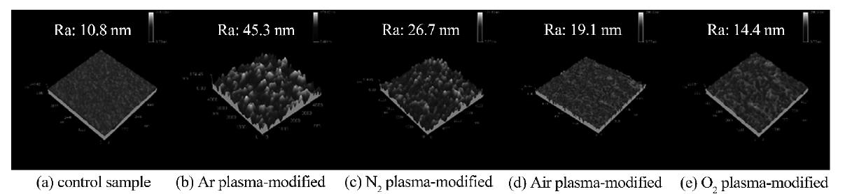 等離子處理樣品表面形貌圖