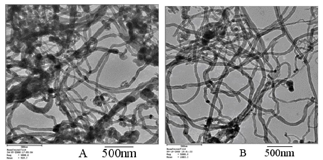 碳納米管 TEM 圖像（ A ）原始 MWCNT ；（ B ）等離子體處理 MWCNTs