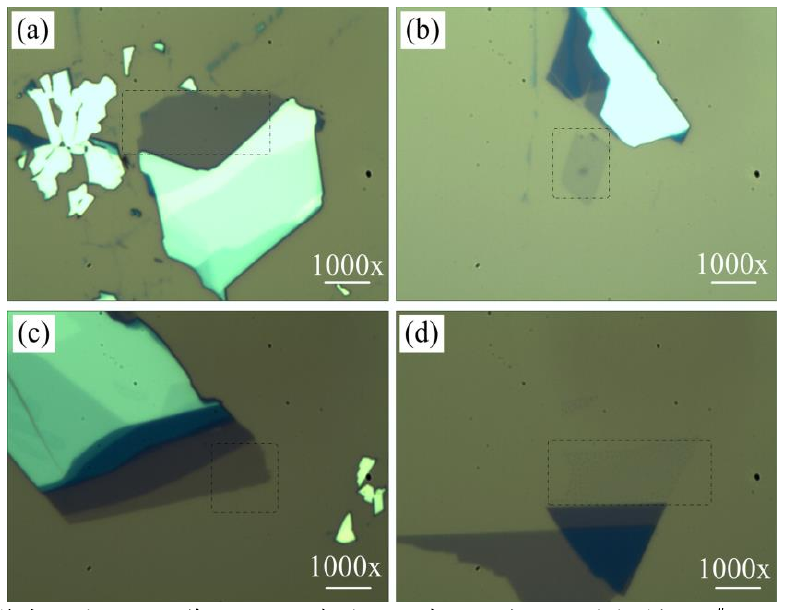 圖 3.3 低溫氧等離子體處理后單層 M o S 2 薄膜的光學(xué)顯微鏡圖。（a）樣品 1 # 的光鏡圖，（b）樣 品 2 # 處理 1 0 s 的光鏡圖，（ c）樣品 3 # 處理 2 0 s 的光鏡圖和（ d）樣品 4 # 處理 4 0 s 的光鏡圖。
