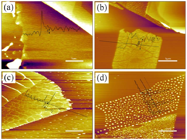 圖 3.5 低溫氧等離子體處理后單層 M o S 2 薄膜形貌圖。（a）樣品 1 # 的厚度~ 1 nm；（ b）樣品 2 # 的厚度~ 5 nm；（ c）樣品 3 # 的厚度~ 3.5 nm；（ d）樣品 4 # 的厚度~ 6 nm。
