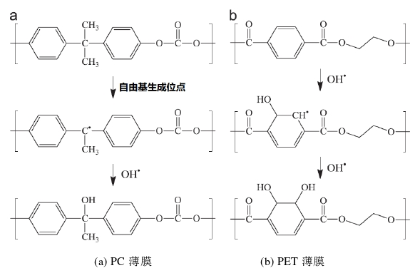 等離子體羥基化示意圖